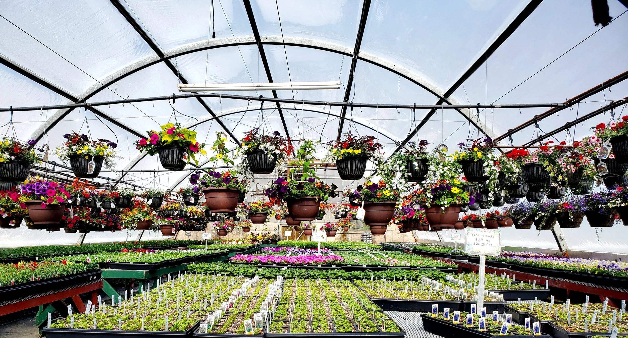 P & M Garden Services, Inc.